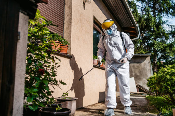 Best Mosquito Control Services  in Woodlyn, PA