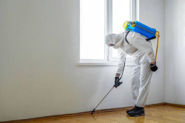 Best Flea Control Services  in Woodlyn, PA